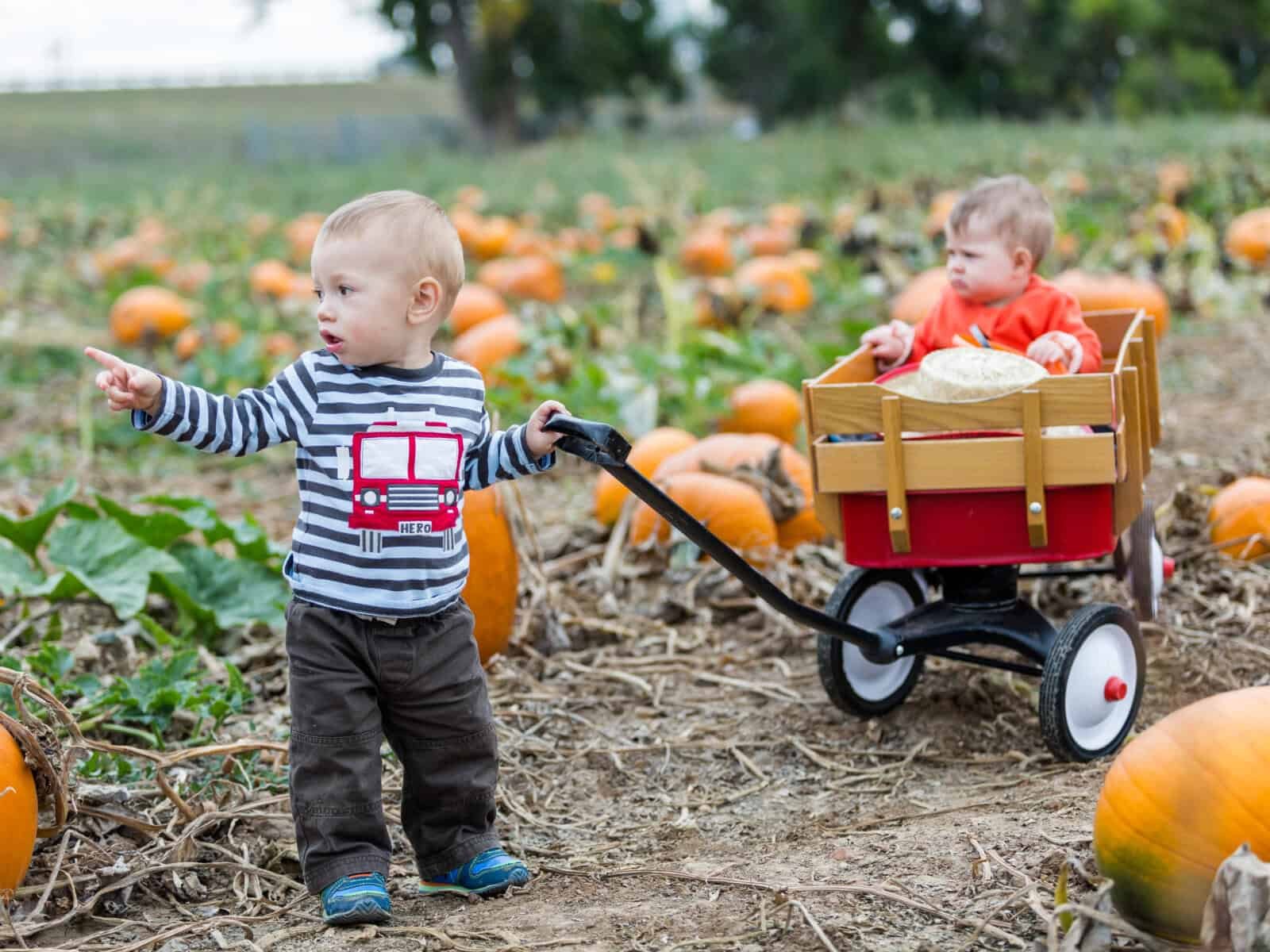 First Halloween - Pumpkin Patch