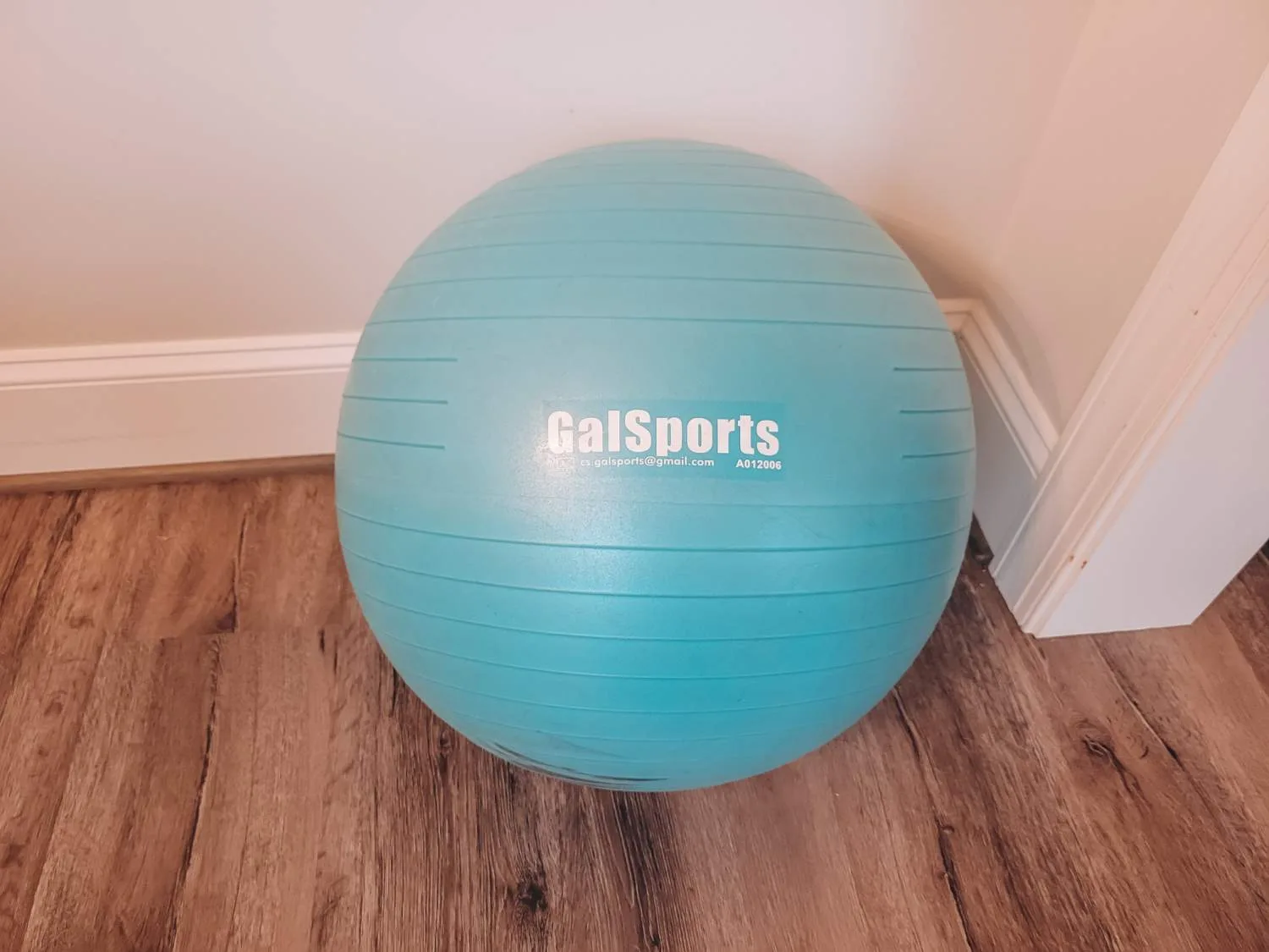 Quick Remedies for Third Trimester Back Pain - Exercise Ball (1)