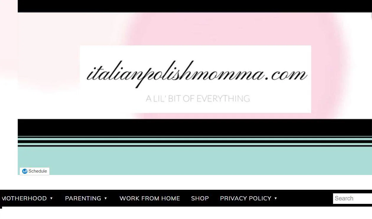 Baby Blogs for New Moms Italian Polish Momma