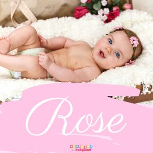 Rose - Old Fashioned Baby Girl Name