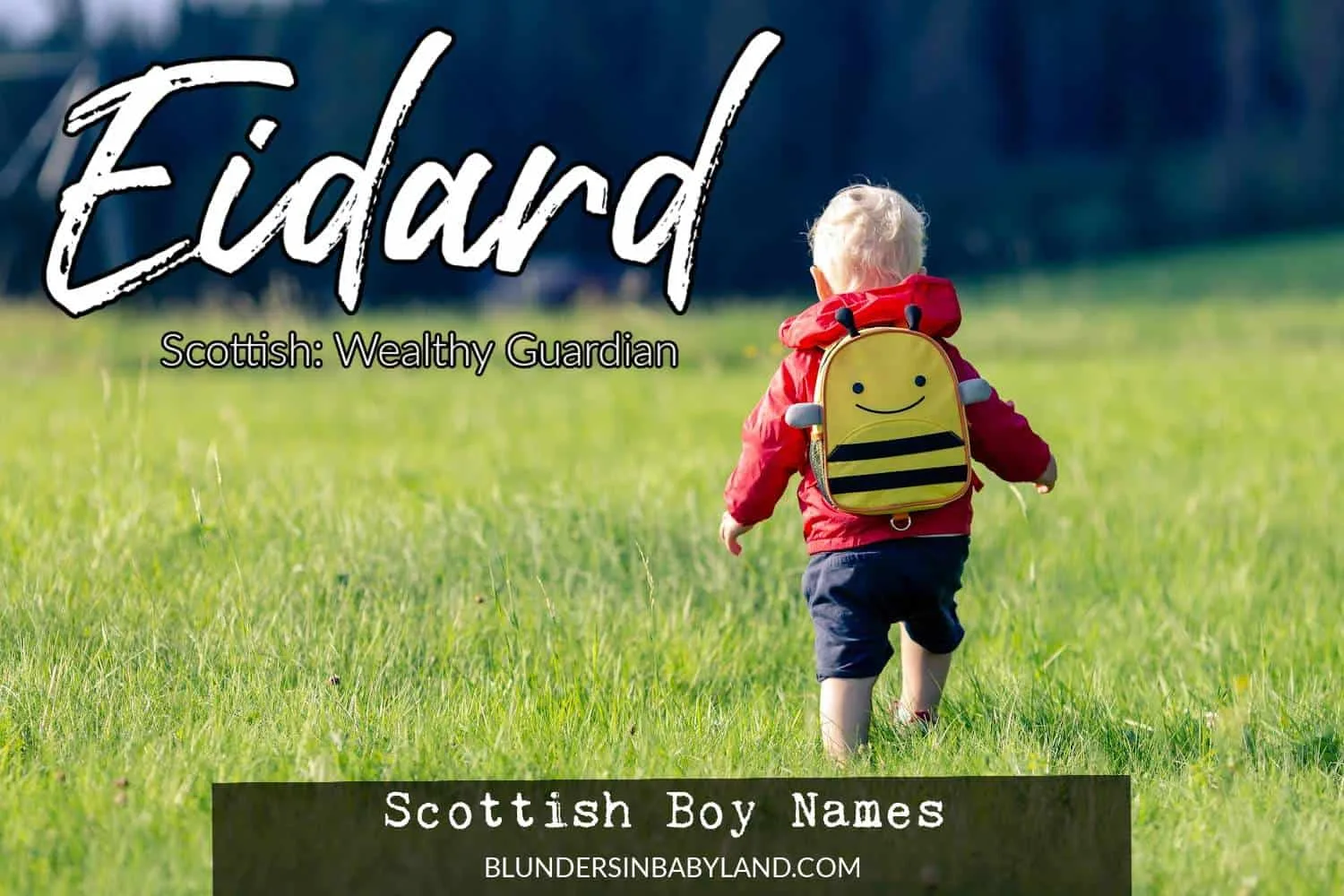 Scottish Boy Names - Eidard (1)