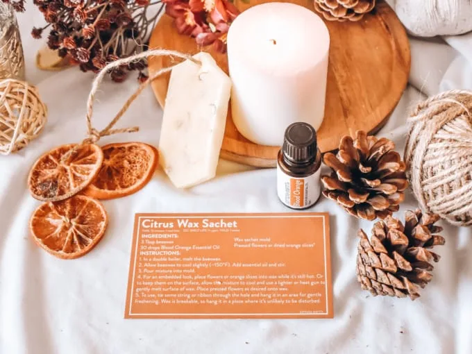 Simply Earth September Recipe Box - Citrus Wax Satchet