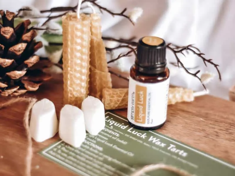 Simply Earth August 2022 Unboxing - Wax Tarts (1)