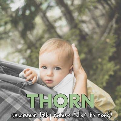 Uncommon Baby Boy Names - Thorn (1)