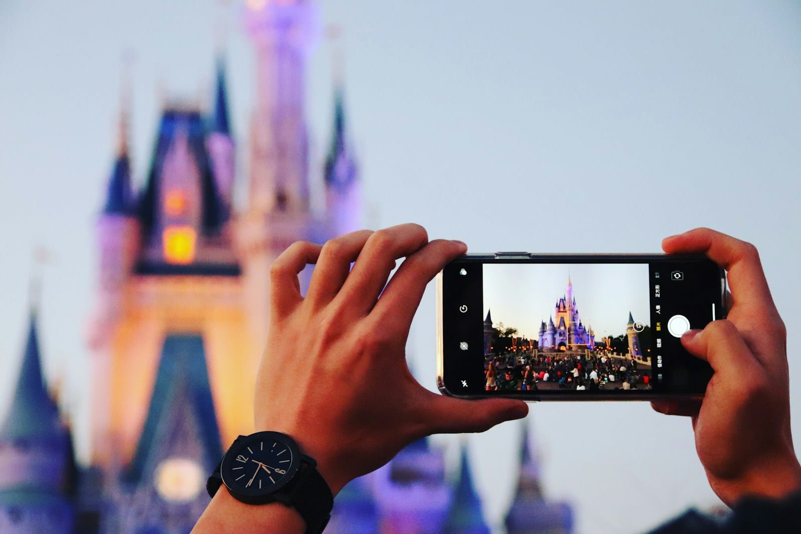 disney castle